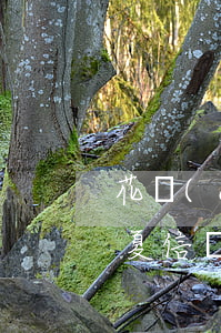 花財(cái)華夏信財(cái)逾期(華夏信財(cái)催結(jié)清)