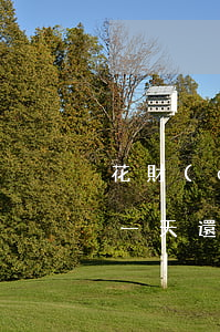 花財(cái)逾期還能申請嗎(有錢花逾期一天還能申請嗎)