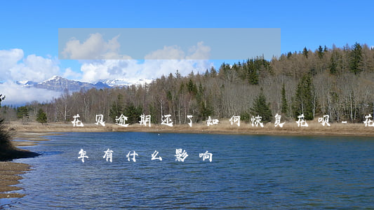花贝逾期还了如何恢复花呗-花贝逾期了几年有什么影响