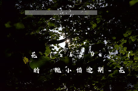 花轉(zhuǎn)轉(zhuǎn)里面的櫻桃小借逾期-花轉(zhuǎn)轉(zhuǎn)里面的櫻桃小借逾期