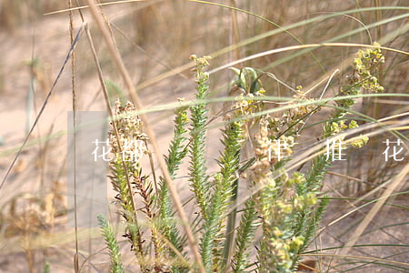 花都債務糾紛律師推薦(花都律師免費咨詢處)
