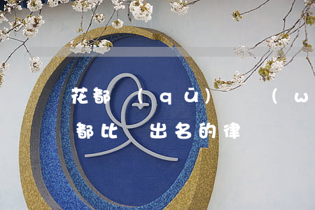 花都區(qū)債務(wù)律師哪家好(花都比較出名的律師)