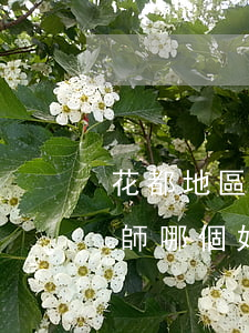 花都地區(qū)比較好的債務(wù)律師哪個好-廣州花都哪家律師比較好