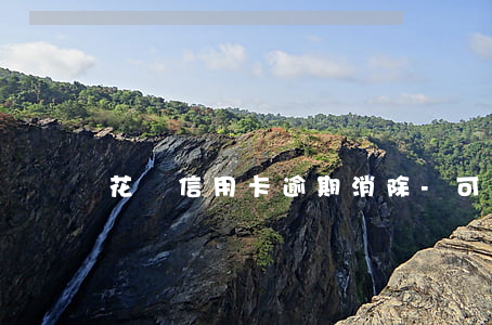 花錢信用卡逾期消除-可以花錢消除逾期嗎