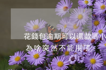 花錢包逾期可以還款嗎(小花錢包逾期后還款為啥突然不能用了)