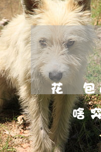 花錢包逾期還款怎么辦(小花錢包逾期后還款為啥突然不能用了)
