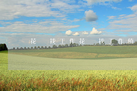 花錢找工作(花錢找工作值得嗎)