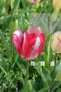 花錢減刑是找監(jiān)獄長嗎(監(jiān)獄工作給錢嗎)