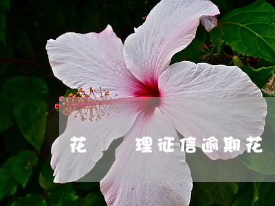 花錢處理征信逾期 花錢處理征信逾期