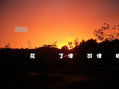 花錢請了律師可律師根本沒幫忙(請律師花錢嗎)