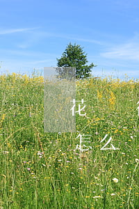 花錢銀行信用卡逾期(花錢銀行信用卡逾期會怎么樣)