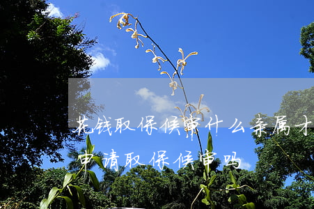 花钱取保候审什么亲属才能办(家属可以直接申请取保候审吗)