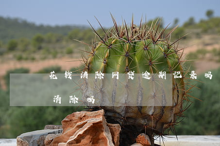 花钱消除网贷逾期记录吗(网贷申请记录可以清除吗)