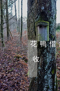 花鴨借錢逾期上征信嗎（花鴨借錢逾期兩天催收）