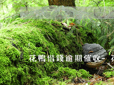 花鴨借錢逾期催收-花鴨借錢逾期了