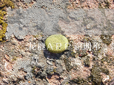 花鹿APP逾期不還款(花鹿app逾期不還款)