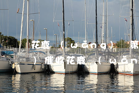 花鹿網(wǎng)貸第三方上門(mén)催收(花鹿網(wǎng)貸第三方上門(mén)催收)