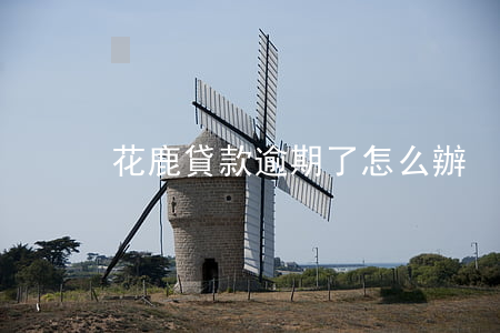 花鹿貸款逾期了怎么辦