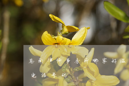 苍南律师事务所哪家好(温州苍南律师事务所电话号码)