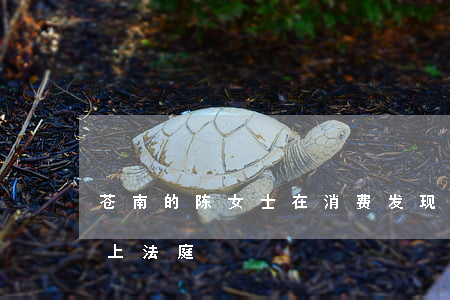 苍南的陈女士在消费发现这个问题，把餐厅告上法庭！