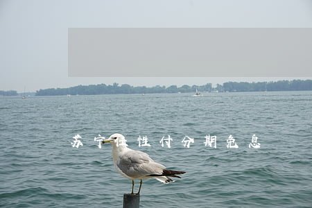 苏宁任性付分期免息
