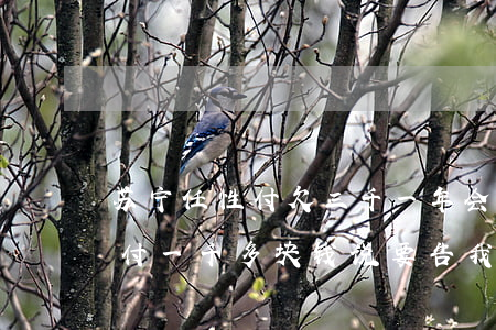 苏宁任性付欠三千一年会怎么样(欠苏宁任性付一千多块钱说要告我是真的吗)