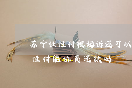 苏宁任性付被起诉还可以协商还款-苏宁任性付能协商还款吗