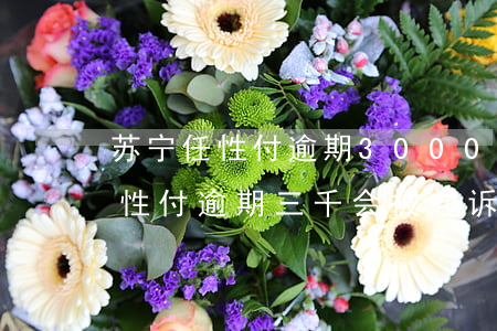 苏宁任性付逾期3000说要起诉-苏宁任性付逾期三千会被起诉吗?