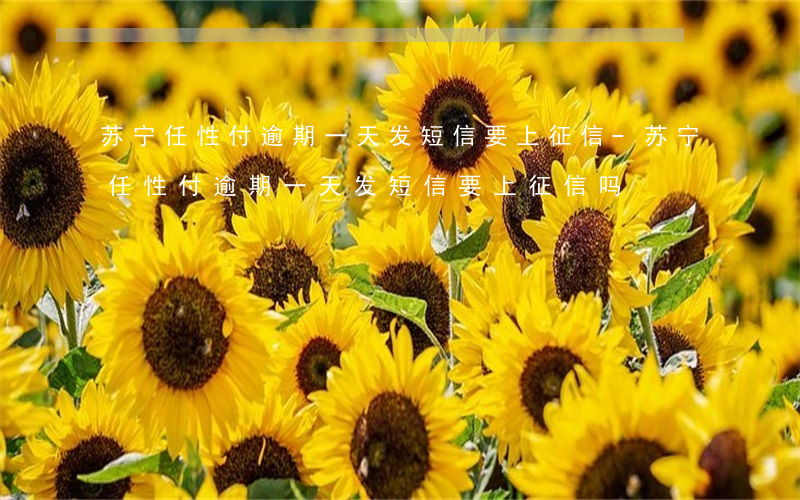 苏宁任性付逾期一天发短信要上征信-苏宁任性付逾期一天发短信要上征信吗