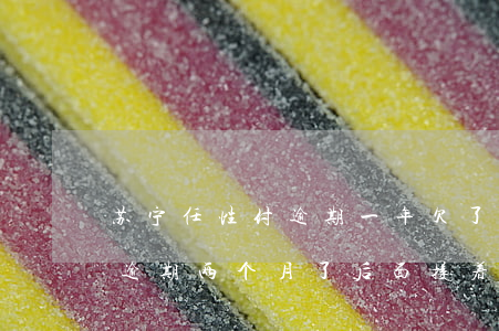 苏宁任性付逾期一年欠了2万多(苏宁任性付逾期两个月了后面接着在还钱)