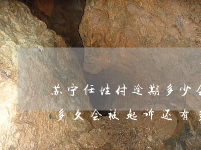 苏宁任性付逾期多少会起诉(苏宁任性付逾期多久会被起诉 还有多少金额)