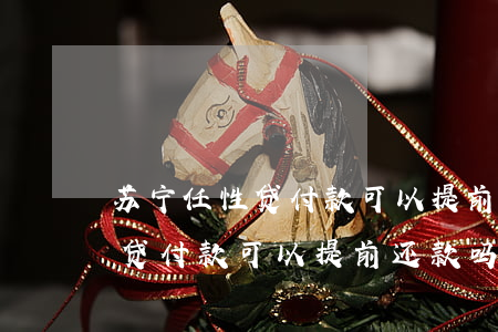 苏宁任性贷付款可以提前还款吗-苏宁任性贷付款可以提前还款吗安全吗
