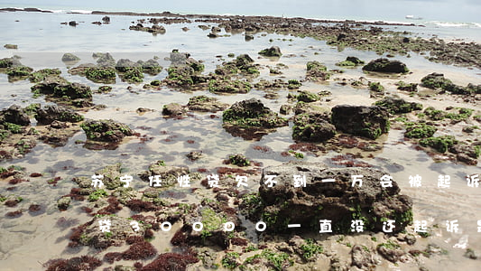 苏宁任性贷欠不到一万会被起诉吗(苏宁任性贷30000一直没还起诉是真的吗)