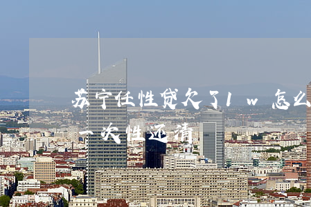 苏宁任性贷欠了1w怎么还(苏宁任性贷怎么一次性还清)