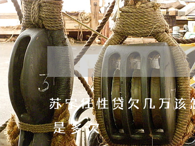 苏宁任性贷欠几万该怎么办(苏宁任性贷起诉是多欠)