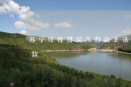 苏宁任性贷欠几百会上法院吗(苏宁任性贷欠款)