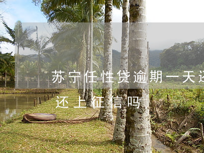 苏宁任性贷逾期一天还款(苏宁任性贷晚一天还上征信吗)