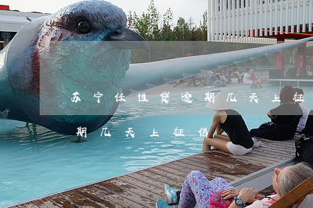 苏宁任性贷逾期几天上征信（苏宁消费金融逾期几天上征信）