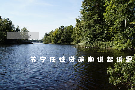 苏宁任性贷逾期说起诉是真的吗-