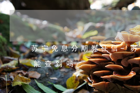 苏宁免息分期券征信-苏宁免息分期券征信能查到吗