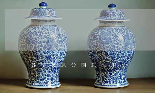 苏宁免息分期怎么用