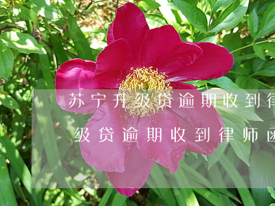 苏宁升级贷逾期收到律师函怎么办-苏宁升级贷逾期收到律师函怎么办理