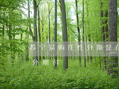 苏宁易购任性分期是自动还款吗-苏宁任性分期付