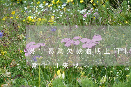 苏宁易购欠款逾期上门来找(苏宁易购欠款逾期上门来找)