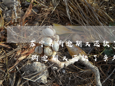 苏宁易购逾期又还款了多久可以用-苏宁易购逾期又还款了多久可以用啊