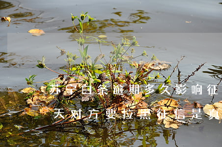 苏宁白条逾期多久影响征信-苏宁逾期10天对方要拉黑征信是真的吗