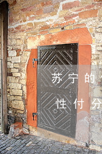 苏宁的任性付分期还款上征信吗-苏宁的任性付分期还款上征信吗是真的吗