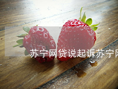 苏宁网贷说起诉(苏宁网贷客服电话是多少)