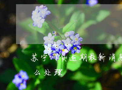 苏宁网贷逾期最新消息(苏宁逾期一年多了怎么处理)