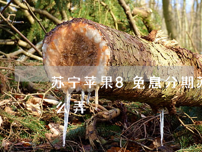 苏宁苹果8免息分期(苏宁苹果8免息分期怎么弄)